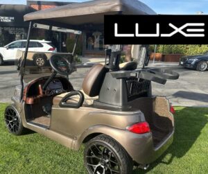 How Gas and Electric Golf Carts Work
